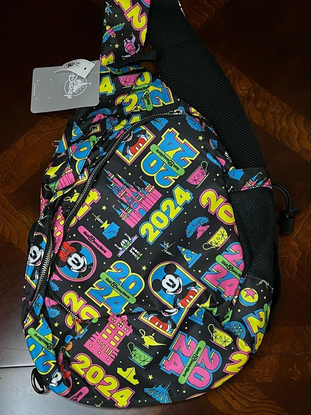 DisneyPark 2024 Backpack